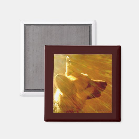 Aimant Brille Sur Moi Berger Allemand #2 (Recto/Verso)