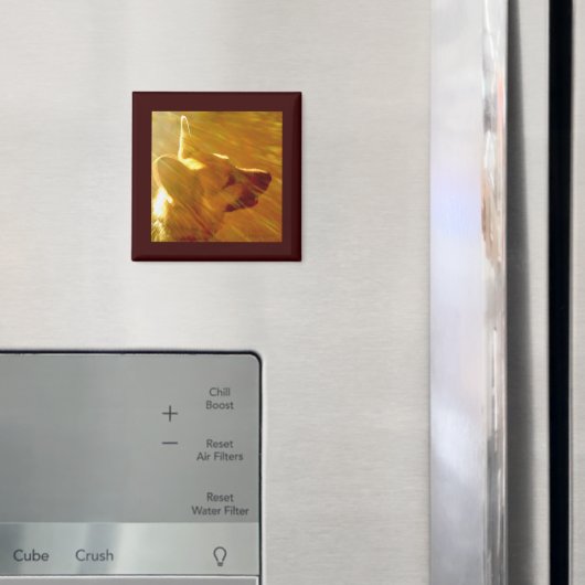 Aimant Brille Sur Moi Berger Allemand #2 (In situ (réfrigérateur))