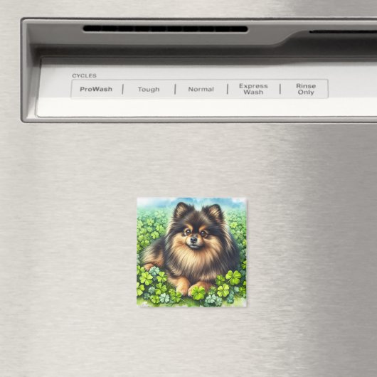 Aimant Brindle Pomeranian Shamrock (In Situ (Lave-vaisselle))