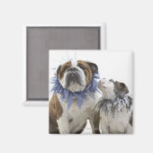 Aimant Britanniques bulldog et chiot portant un collier e (Recto/Verso)