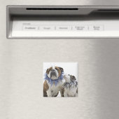Aimant Britanniques bulldog et chiot portant un collier e (In Situ (Lave-vaisselle))