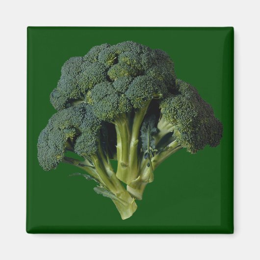 Aimant Brocoli (Devant)