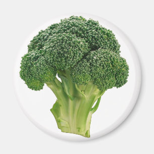 Aimant Brocoli