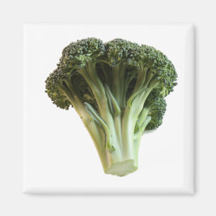 Aimant Brocoli vert Fleur de légumes frais