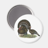 Aimant Bronze standard de Turkey (Recto/Verso)