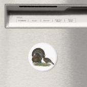 Aimant Bronze standard de Turkey (In Situ (Lave-vaisselle))