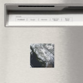 Aimant Brouillard et neige en Colombie-Britannique (In Situ (Lave-vaisselle))