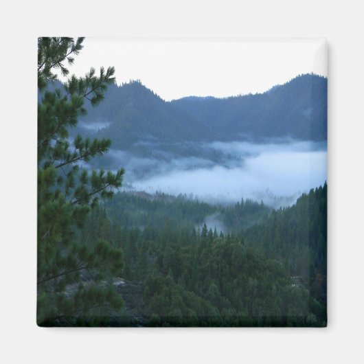 Aimant Brouillard matinal.... (Devant)