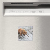 Aimant Brown Bear Catches Red Salmon (In Situ (Lave-vaisselle))