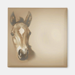 AIMANT BROWN-HORSE