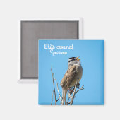 Aimant Bruant à couronne blanche (Recto/Verso)