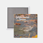 Aimant Bruant à couronne dorée (Recto/Verso)