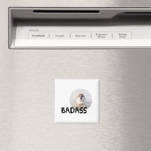 Aimant Bruant - Badass (In Situ (Lave-vaisselle))