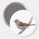 Aimant Bruant (Passer Domesticus) (Recto/Verso)