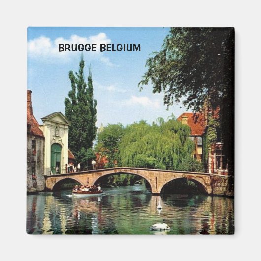 AIMANT BRUGGE, BELGIQUE (Devant)