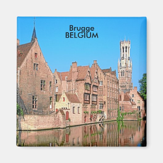 AIMANT BRUGGE, BELGIQUE (Devant)