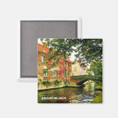 AIMANT BRUGGE, BELGIQUE (Recto/Verso)