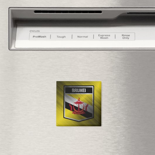 Aimant Brunei (In Situ (Lave-vaisselle))