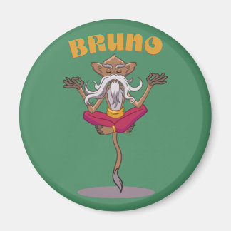 Aimant Bruno