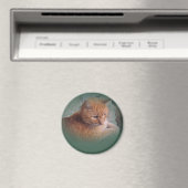 Aimant Bubba l'Orange Tabby Tomcat (In Situ (Lave-vaisselle))