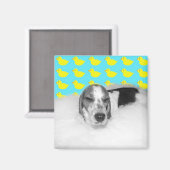 Aimant Bubble Bath Love (Recto/Verso)