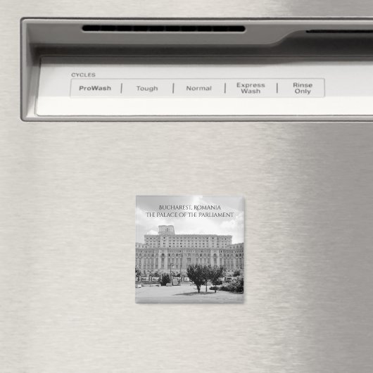 Aimant Bucarest, Roumanie (In Situ (Lave-vaisselle))