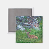 Aimant Buck de lit (Recto/Verso)