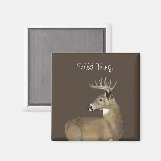 Aimant Buck de queue blanche (Recto/Verso)