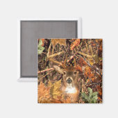 Aimant Buck in Hunter Camo White Tail Deer (Recto/Verso)