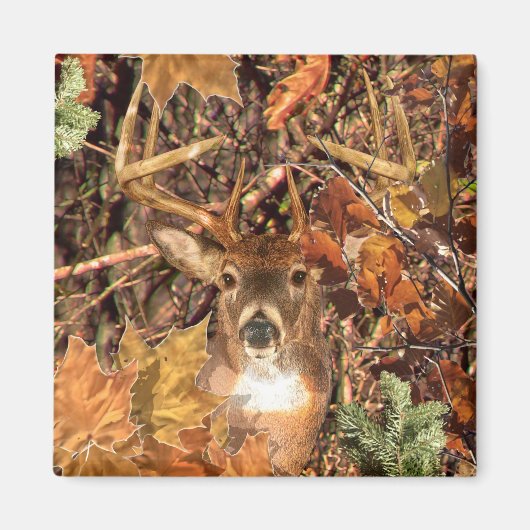 Aimant Buck in Hunter Camo White Tail Deer (Devant)