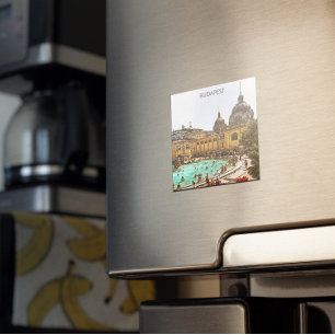 Aimant Budapest Hongrie Széchenyi Thermes