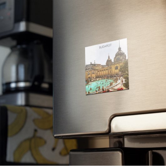 Aimant Budapest Hongrie Széchenyi Thermes