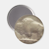 Aimant Buffalo Nickel (Recto/Verso)