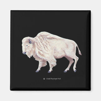 Aimant Buffle blanc
