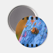 Aimant Bug couleur fou (Recto/Verso)