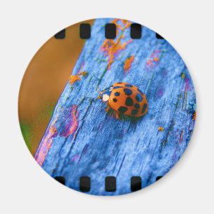 Aimant Bug couleur fou