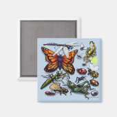 Aimant Bugs (Recto/Verso)