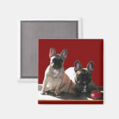 Aimant Buldogen Flo et Fips (Recto/Verso)