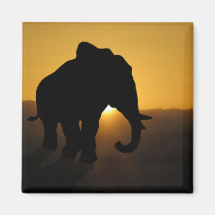 Aimant Bull éléphant
