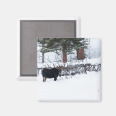 Aimant Bull Moose (Recto/Verso)