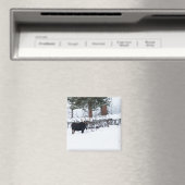 Aimant Bull Moose (In Situ (Lave-vaisselle))