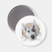 Aimant Bull Terrier (américain) (Recto/Verso)