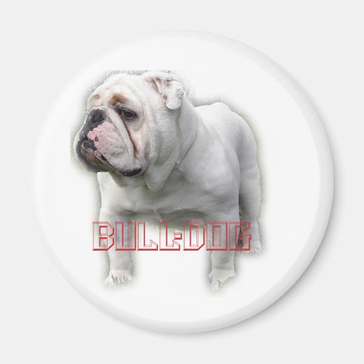 Aimant Bulldog ド (Devant)