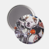 Aimant Bulldog sur moto (Recto/Verso)