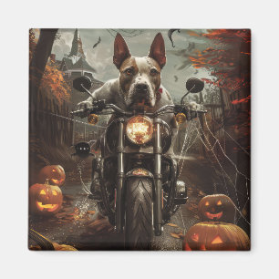 Aimant Bulle Terrier Riding Moto Halloween effrayant