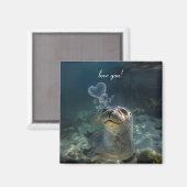 Aimant bulles cardiaques qui gonflent les phoques (Recto/Verso)