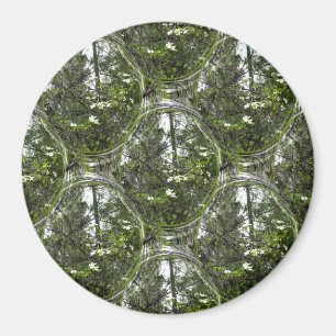 Aimant Bulles de Dogwood.....