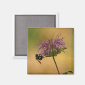 Aimant Bumble Bee (Recto/Verso)