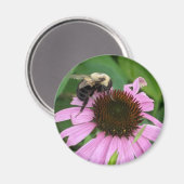 Aimant Bumble Bee (Recto/Verso)