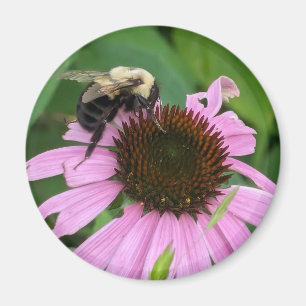 Aimant Bumble Bee